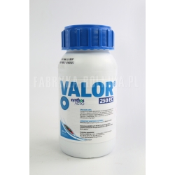 VALOR-250-EC---0,25-L